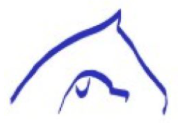 Chirovet Wales Logo